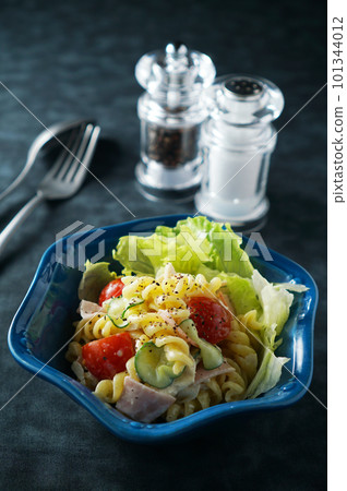 Macaroni (fusilli) salad 101344012