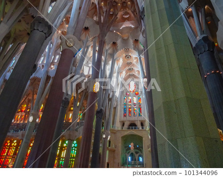 Inside Sagrada Familia ~Ceiling/Pillars~ (Spain-Barcelona) 101344096