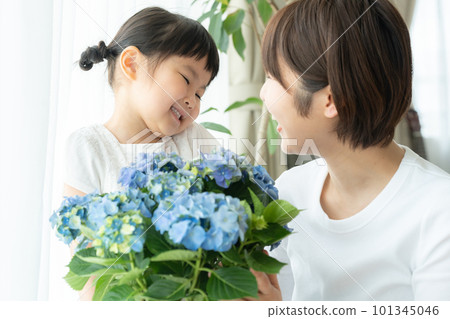 Mom receiving hydrangea from her child on Mother's Day Mom receiving hydrangea from her child on Mother's Day 101345046