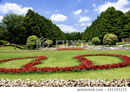 Park with lawn and red flowers 101345215