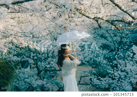站在櫻花旅遊勝地的女人 101345715