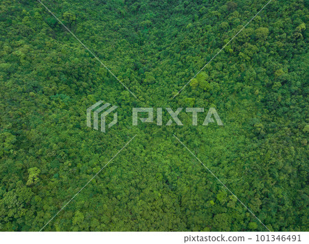 Aerial view of beautiful tropical forest mountain landscape Aerial view of beautiful tropical forest mountain landscape 101346491