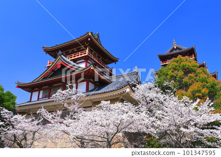 [Kyoto Prefecture] Fushimi Momoyama Castle under fine weather and cherry blossoms in full bloom (large and small towers) 101347595