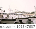 Ship 101347637