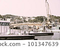 Ship 101347639