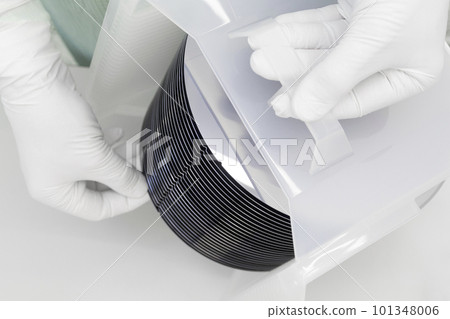 Gloved Hand Holding a Silicon Wafer in plastic holder box used in electronics for the fabrication of integrated circuits. Silicon wafer inspection. Gloved Hand Holding a Silicon Wafer in plastic holder box used in electronics for the fabrication of integrated circuits. Silicon wafer inspection. 101348006