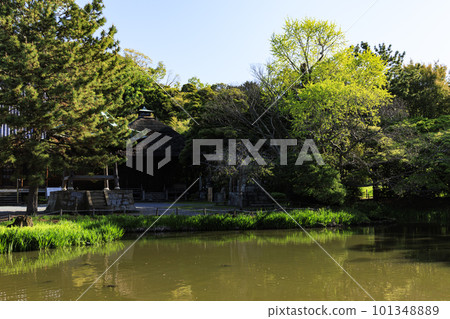 Scenery of Shomyo-ji Temple where fresh greenery shines Scenery of Shomyo-ji Temple where fresh greenery shines 101348889
