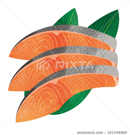 fresh salmon fillet fresh salmon fillet 101348969