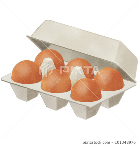 brown eggs in a case 101348976