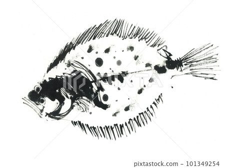 圖:比目魚 圖:比目魚 101349254