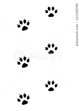 Animals feet track. Tiger black paw, walking feet silhouette or footprints. Trace step imprints isolated on white. Walking tracks paws illustration Animals feet track. Tiger black paw, walking feet silhouette or footprints. Trace step imprints isolated on white. Walking tracks paws illustration 101349399