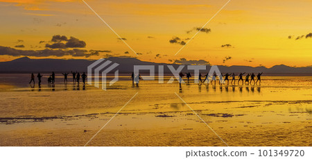 Sillouette of tourists on Bolivian Salt Flats in Bolivia 101349720