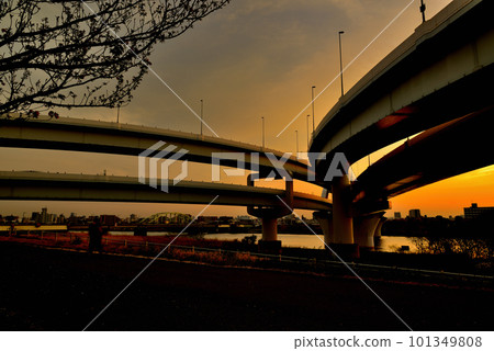 Arakawa Sakura，五色櫻花Ohashi和Ekita交界處的日落景色 101349808