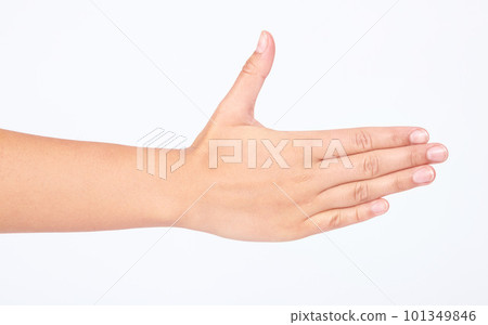 Woman, handshake or hello on studio background in greeting success, strategy collaboration or welcome support. Zoom, model or shaking hands gesture in partnership meeting, goals motivation or mockup Woman, handshake or hello on studio background in greeting success, strategy collaboration or welcome support. Zoom, model or shaking hands gesture in partnership meeting, goals motivation or mockup 101349846