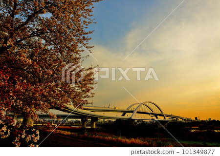 Arakawa Sakura,五色櫻花Ohashi和Ekita交界處的日落景色 Arakawa Sakura,五色櫻花Ohashi和Ekita交界處的日落景色 101349877