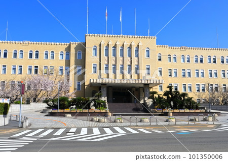 [Wakayama Prefecture] Cherry blossoms in full bloom and Wakayama Prefectural Office 101350006