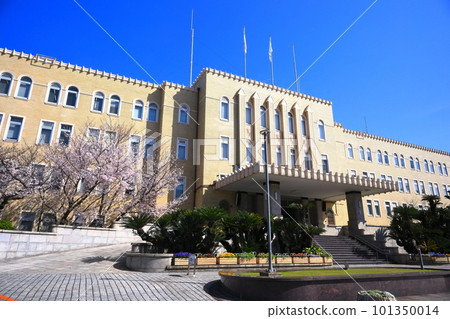 [Wakayama Prefecture] Cherry blossoms in full bloom and Wakayama Prefectural Office 101350014