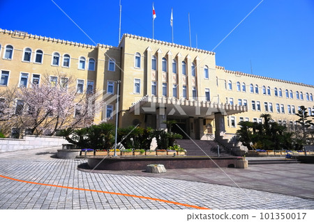 [Wakayama Prefecture] Cherry blossoms in full bloom and Wakayama Prefectural Office 101350017