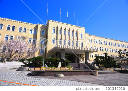 [Wakayama Prefecture] Cherry blossoms in full bloom and Wakayama Prefectural Office 101350020