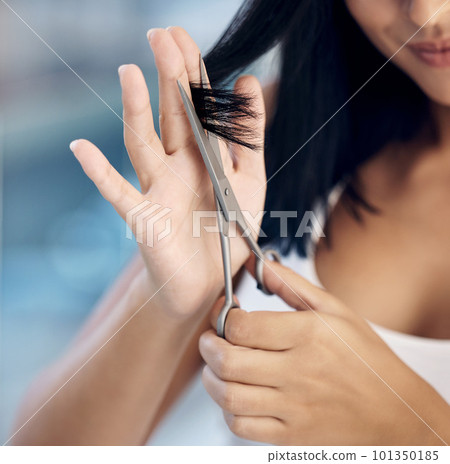 Hair care cut, hands and woman with scissors for hairstyle maintenance routine, grooming and self care. Wellness treatment, spa beauty salon and shampoo girl with barber tools for healthy hair growth Hair care cut, hands and woman with scissors for hairstyle maintenance routine, grooming and self care. Wellness treatment, spa beauty salon and shampoo girl with barber tools for healthy hair growth 101350185
