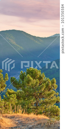 Ronda - the ancient city of Ronda, Andalusia. Landscape around old city of Ronda, Andalusia, Spain. 101350384