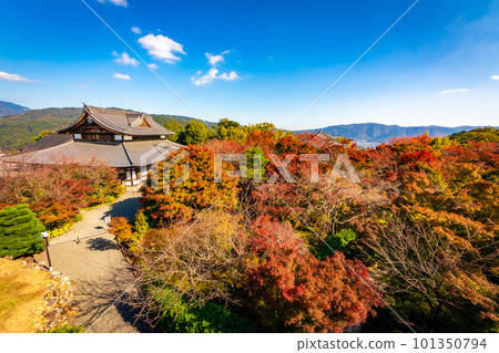 Colorful autumn leaves and clear blue sky seen at Shogunzuka Seiryuden in Kyoto in autumn 101350794