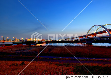 Arakawa Sakura, the night view of the five colored cherry blossoms Ohashi and Ekita junction 101351464