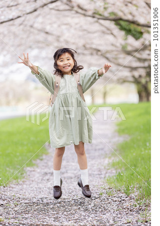 A girl carrying a school bag under the cherry blossoms 101351906