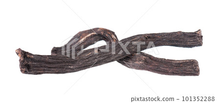 Common comfrey root isolated on white background. Dry roots of Symphytum officinale. 101352288