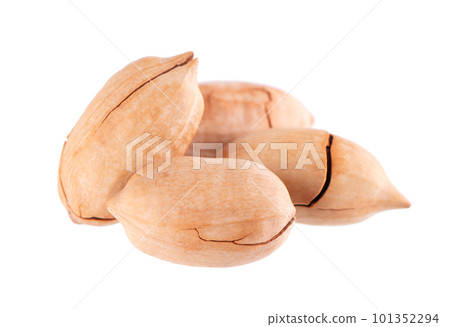 Pecan nuts isolated on white background. Unshelled pecan. Clipping path. Pecan nuts isolated on white background. Unshelled pecan. Clipping path. 101352294