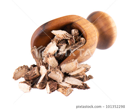 Calamus root in wooden scoop, isolated on white background. Sweet flag, sway or muskrat root. Dry root of Acorus calamus. 101352298