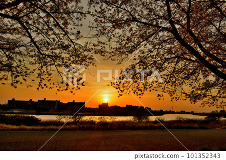 五色櫻大橋附近 夕陽照耀下的荒川河床夜景 五色櫻大橋附近 夕陽照耀下的荒川河床夜景 101352343