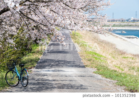 【神通千本櫻】沿河排列的櫻花樹和自行車 101352398