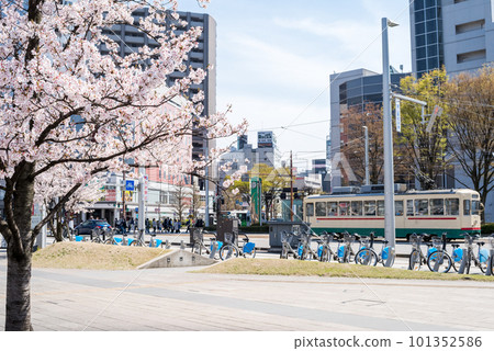 [Toyama Chihou Railway] Scenery in front of Toyama Station with cherry blossoms blooming 101352586