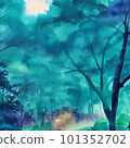 Landscape with dense dark forest trees 101352702