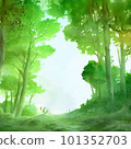 watercolor green forest landscape 101352703