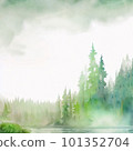 Forest landscape shrouded in fog 101352704
