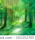 forest path with sunlight filtering through foliage 101352705