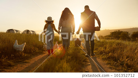 Mother, father or child bonding on chicken farm, poultry agriculture field or Brazilian sustainability environment. Smile, happy and farmer family with birds for meat, food or eggs industry at sunset Mother, father or child bonding on chicken farm, poultry agriculture field or Brazilian sustainability environment. Smile, happy and farmer family with birds for meat, food or eggs industry at sunset 101352712