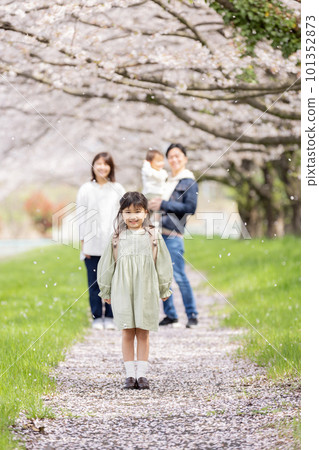 Family walking in a cherry blossom park 101352873