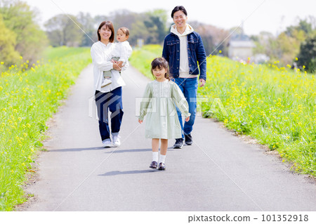 A family walking along a bank with a field of rapeseed flowers A family walking along a bank with a field of rapeseed flowers 101352918