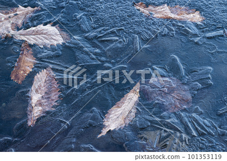 在結冰的湖面上形成的冰晶 101353119