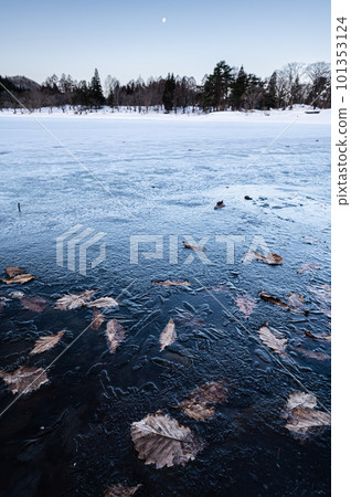 Ice crystals formed on the surface of a frozen lake 101353124