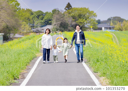 A family walking along a bank with a field of rapeseed flowers A family walking along a bank with a field of rapeseed flowers 101353270