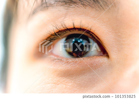 讓職場女性大開眼界 讓職場女性大開眼界 101353825