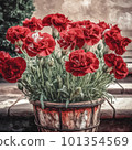 Red carnation 101354569