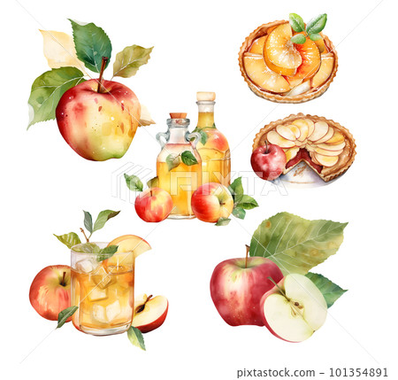 Apple Harvest collection Watercolor illustration, isolated on white. Apple Harvest collection Watercolor illustration, isolated on white. 101354891