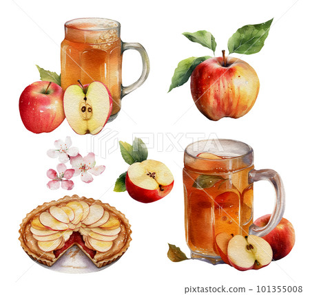 Apple Harvest collection Watercolor illustration, isolated on white. Apple Harvest collection Watercolor illustration, isolated on white. 101355008