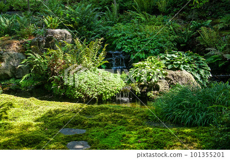 A small waterfall in the garden|Japanese garden in Obuse A small waterfall in the garden|Japanese garden in Obuse 101355201