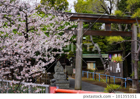 Ebara Shrine Kitashinagawa, Shinagawa-ku, Tokyo Ebara Shrine Kitashinagawa, Shinagawa-ku, Tokyo 101355351